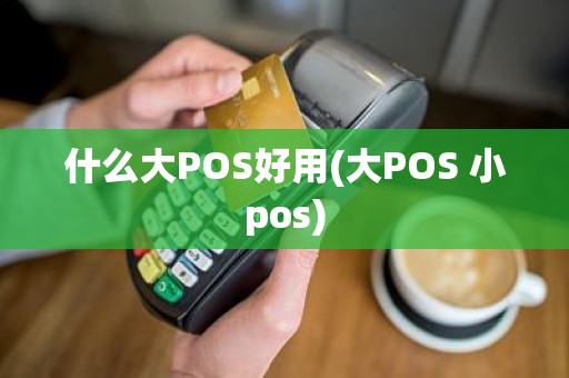 什么大POS好用(大POS 小pos)