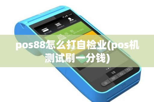 pos88怎么打自检业(pos机测试刷一分钱)