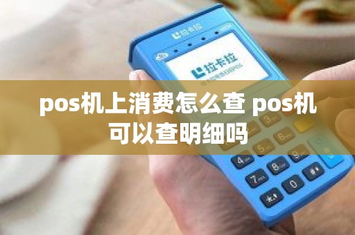 pos机上消费怎么查 pos机可以查明细吗