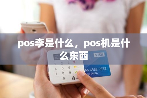 pos李是什么，pos机是什么东西