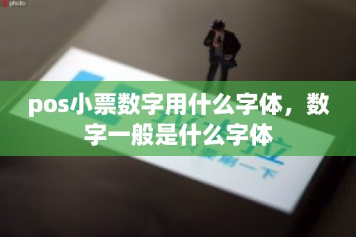 pos小票数字用什么字体，数字一般是什么字体