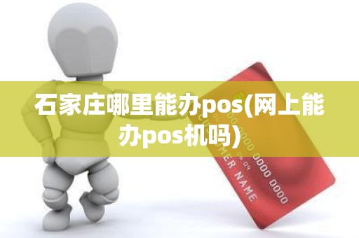 石家庄哪里能办pos(网上能办pos机吗)