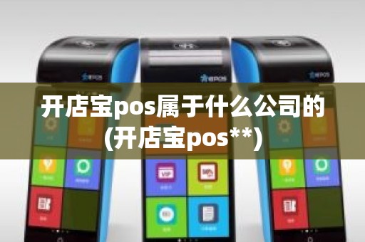 开店宝pos属于什么公司的(开店宝pos**)