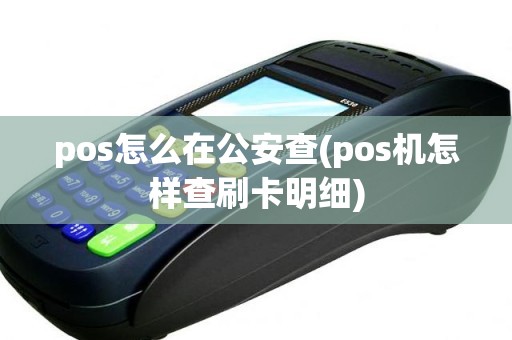 pos怎么在公安查(pos机怎样查刷卡明细)