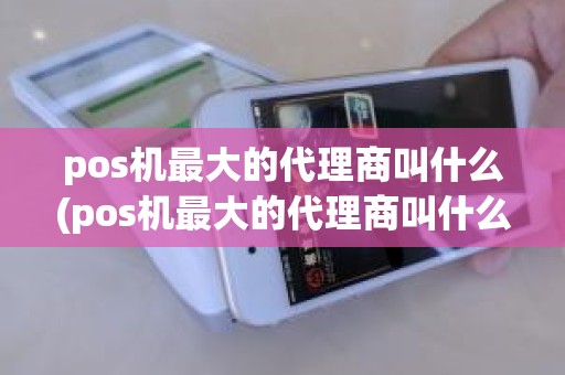 pos机最大的代理商叫什么(pos机最大的代理商叫什么)