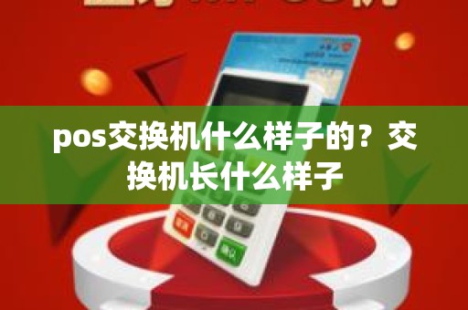 pos交换机什么样子的？交换机长什么样子