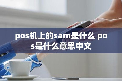 pos机上的sam是什么 pos是什么意思中文