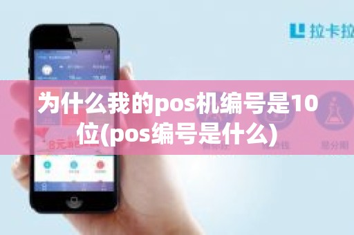 为什么我的pos机编号是10位(pos编号是什么)