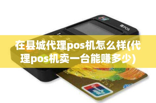 在县城代理pos机怎么样(代理pos机卖一台能赚多少)