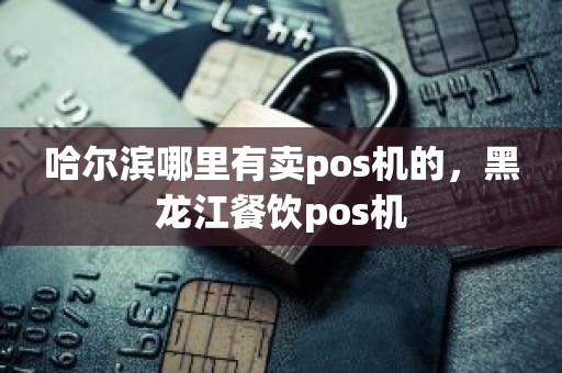 哈尔滨哪里有卖pos机的，黑龙江餐饮pos机