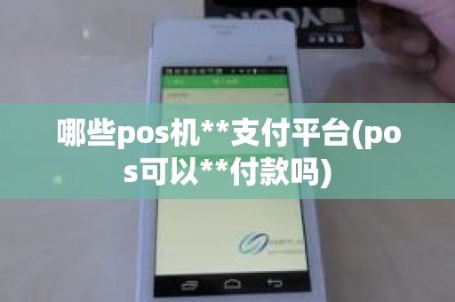 哪些pos机**支付平台(pos可以**付款吗)