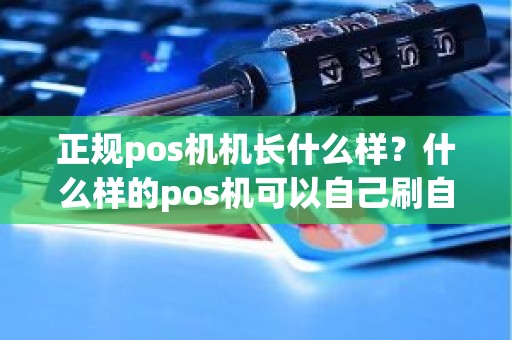 正规pos机机长什么样？什么样的pos机可以自己刷自己