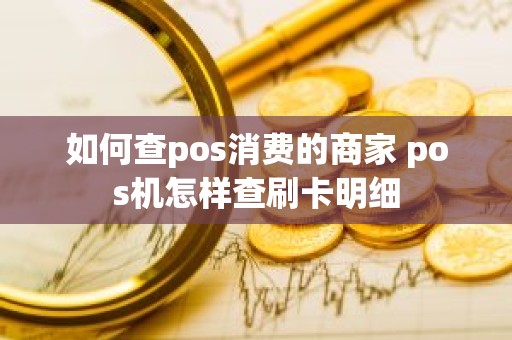 如何查pos消费的商家 pos机怎样查刷卡明细