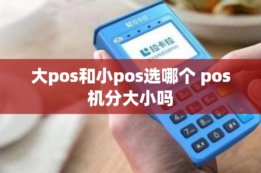 大pos和小pos选哪个 pos机分大小吗