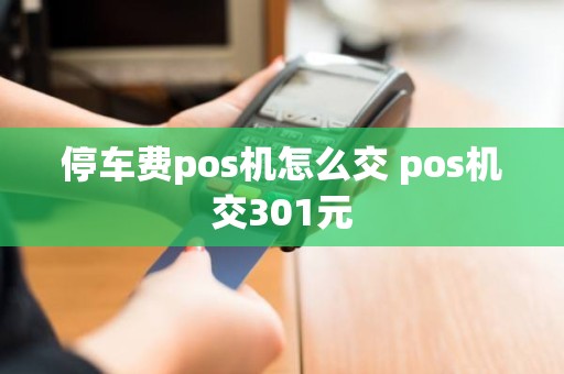 停车费pos机怎么交 pos机交301元