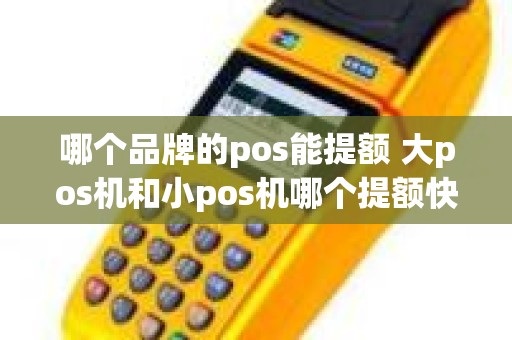 哪个品牌的pos能提额 大pos机和小pos机哪个提额快