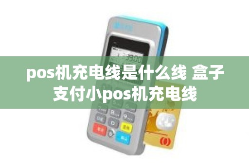 pos机充电线是什么线 盒子支付小pos机充电线