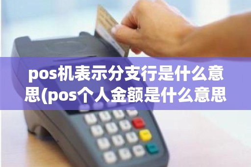 pos机表示分支行是什么意思(pos个人金额是什么意思) pos机表示分支行是什么意思(pos个人金额是什么意思)