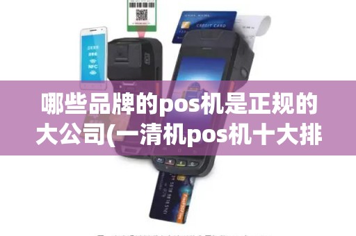 哪些品牌的pos机是正规的大公司(一清机pos机十大排名)
