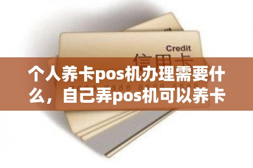 个人养卡pos机办理需要什么，自己弄pos机可以养卡吗