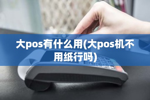 大pos有什么用(大pos机不用纸行吗)