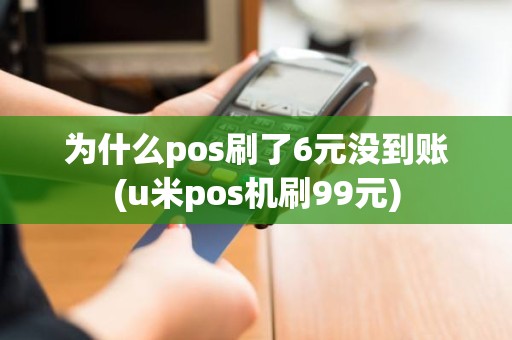 为什么pos刷了6元没到账(u米pos机刷99元)