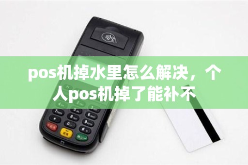 pos机掉水里怎么解决，个人pos机掉了能补不