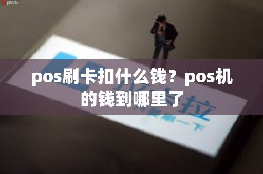 pos刷卡扣什么钱？pos机的钱到哪里了