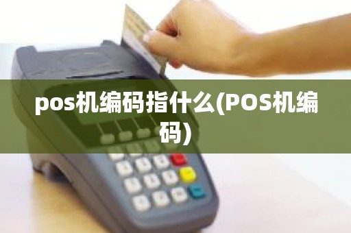 pos机编码指什么(POS机编码)