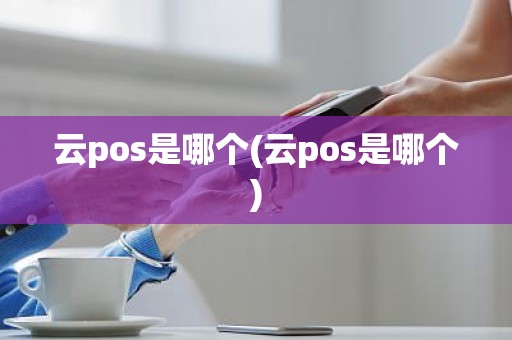云pos是哪个(云pos是哪个)
