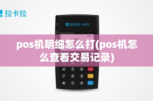 pos机明细怎么打(pos机怎么查看交易记录)