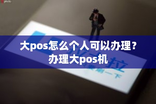 大pos怎么个人可以办理？办理大pos机