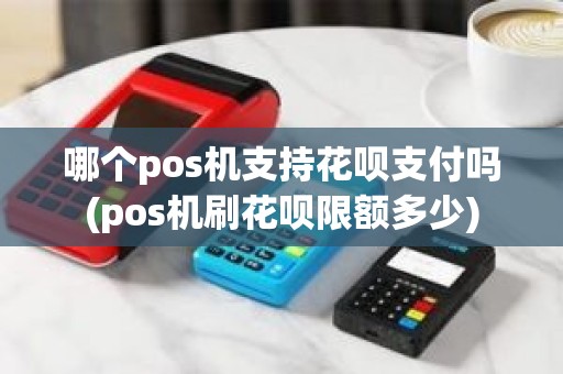 哪个pos机支持花呗支付吗(pos机刷花呗限额多少)