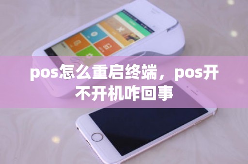 pos怎么重启终端，pos开不开机咋回事