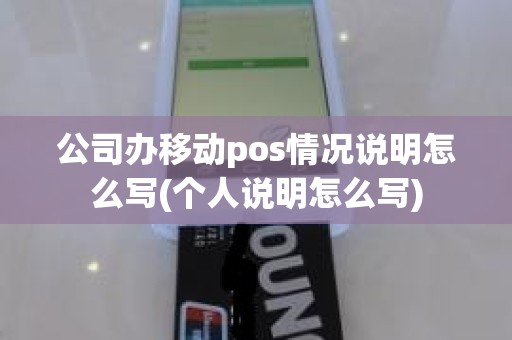 公司办移动pos情况说明怎么写(个人说明怎么写)