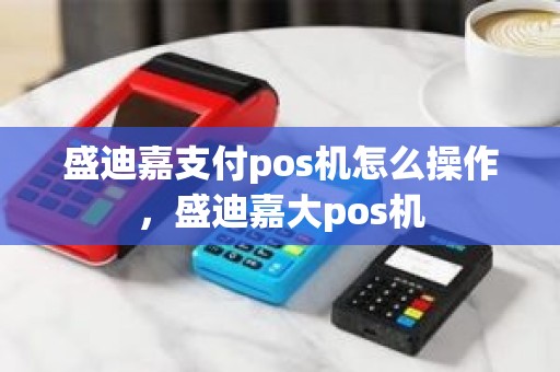盛迪嘉支付pos机怎么操作，盛迪嘉大pos机