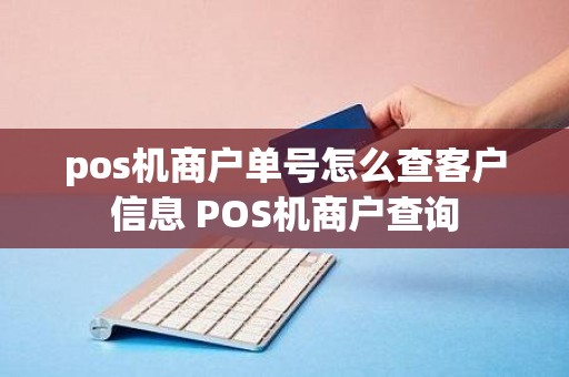 pos机商户单号怎么查客户信息 POS机商户查询