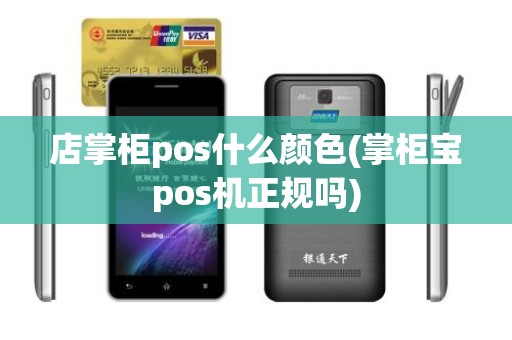 店掌柜pos什么颜色(掌柜宝pos机正规吗)