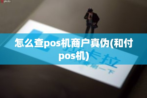 怎么查pos机商户真伪(和付pos机)