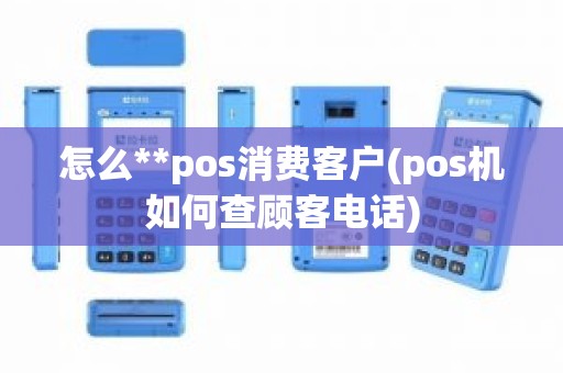 怎么**pos消费客户(pos机如何查顾客电话)