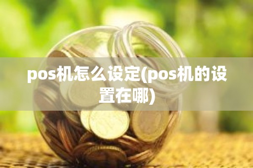 pos机怎么设定(pos机的设置在哪)