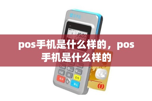 pos手机是什么样的，pos手机是什么样的