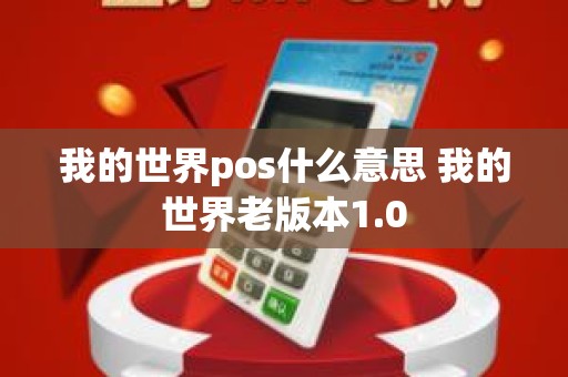 我的世界pos什么意思 我的世界老版本1.0