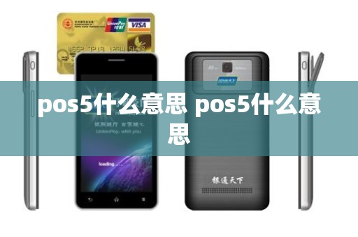 pos5什么意思 pos5什么意思