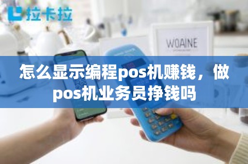 怎么显示编程pos机赚钱，做pos机业务员挣钱吗