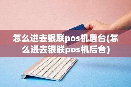 怎么进去银联pos机后台(怎么进去银联pos机后台)