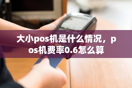 大小pos机是什么情况，pos机费率0.6怎么算