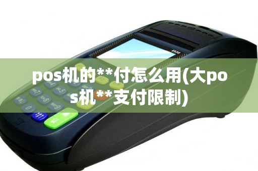 pos机的**付怎么用(大pos机**支付限制)
