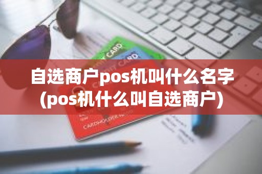 自选商户pos机叫什么名字(pos机什么叫自选商户)