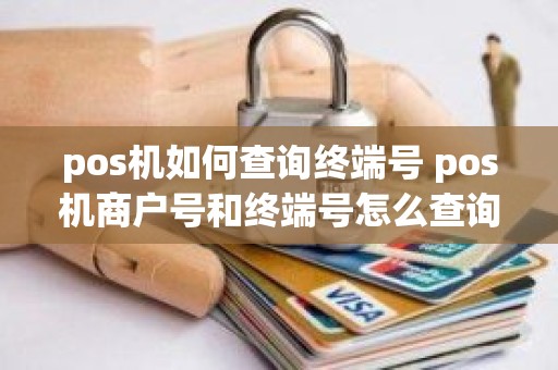 pos机如何查询终端号 pos机商户号和终端号怎么查询